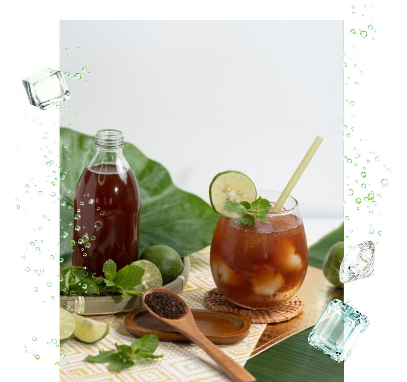 Spritzer_Sparkling-Website_Teh-Pudina-Laici